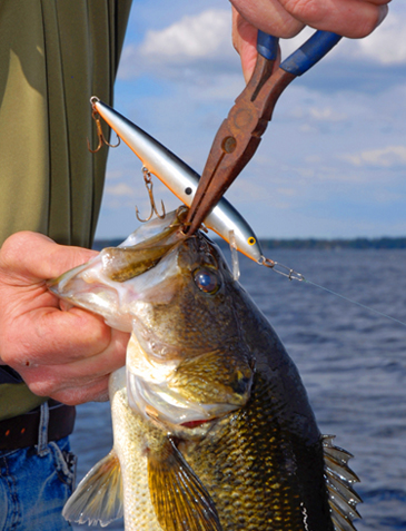 Welcome fisherman to the Great Lakes Fisherman's Digest Fishing "Tips and Tactics" section of our site. We at Fisherman's Digest are committed to giving you the most complete information that we can deliver.